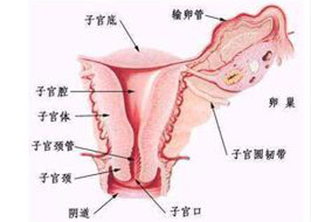 非特异性外阴炎发病的原因