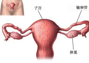 附件炎囊肿可以同房吗