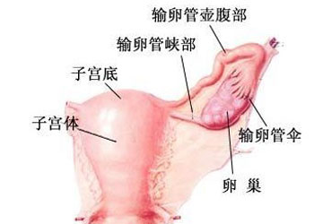 附件炎可以同房吗